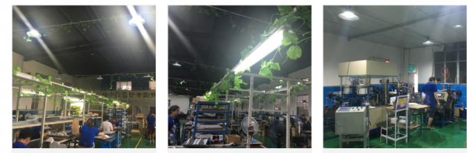 Luz UV y electricidad Co., cadena de producción de la fábrica del Ltd. 3 de Ningbo