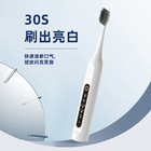 Food Grade ABS Sonic Rechargeable Electric Toothbrush Ultrasonic Tooth Cleaner Type C