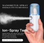 Recharable Shrink Pores Nano Facial Mister , Handy Nano Mist Spray 0.1KGS/ 0.15 KGS supplier